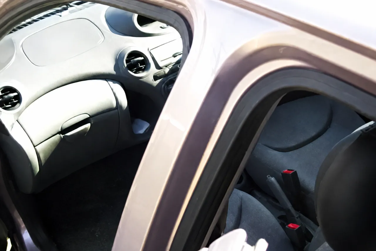 車のピラー部とドア開口部内側の塗装箇所